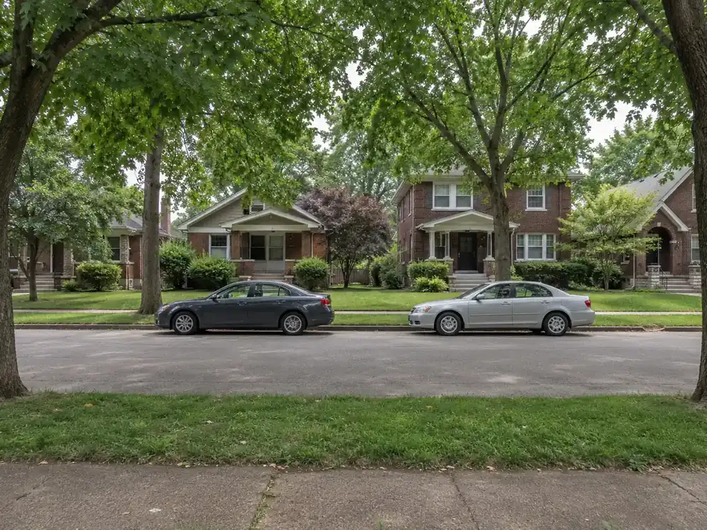 Mature street trees arching above brick homes and a sidewalk along a residential street