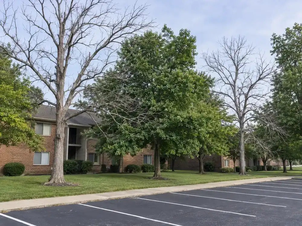 Two leafless dead trees stand among green trees beside an apartment parking lot and sidewalk