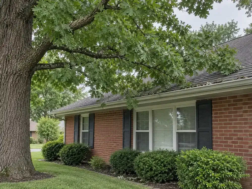 Leafy oak branches resting over a brick home's roof edge and gutters