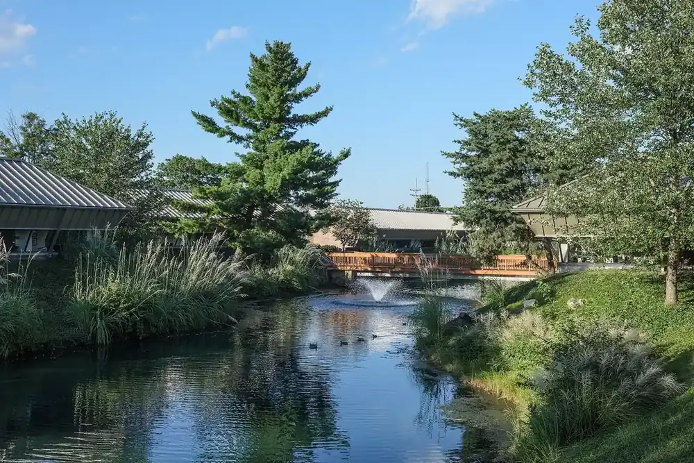 A landscaped pond with a fountain and wooden bridge beside office buildings in Creve Coeur, Missouri