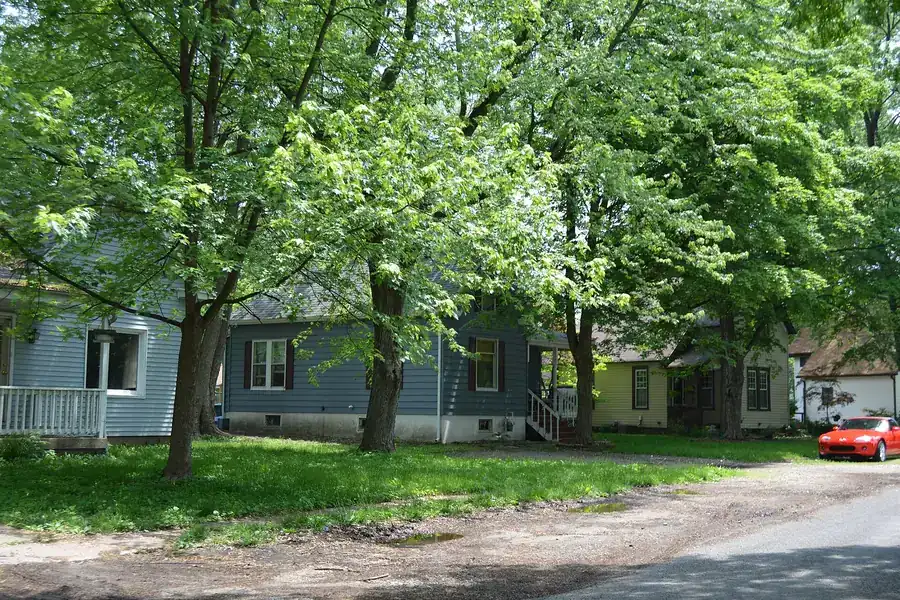 Tall shade trees over small cottages beside a gravel street in Edwardsville, Illinois