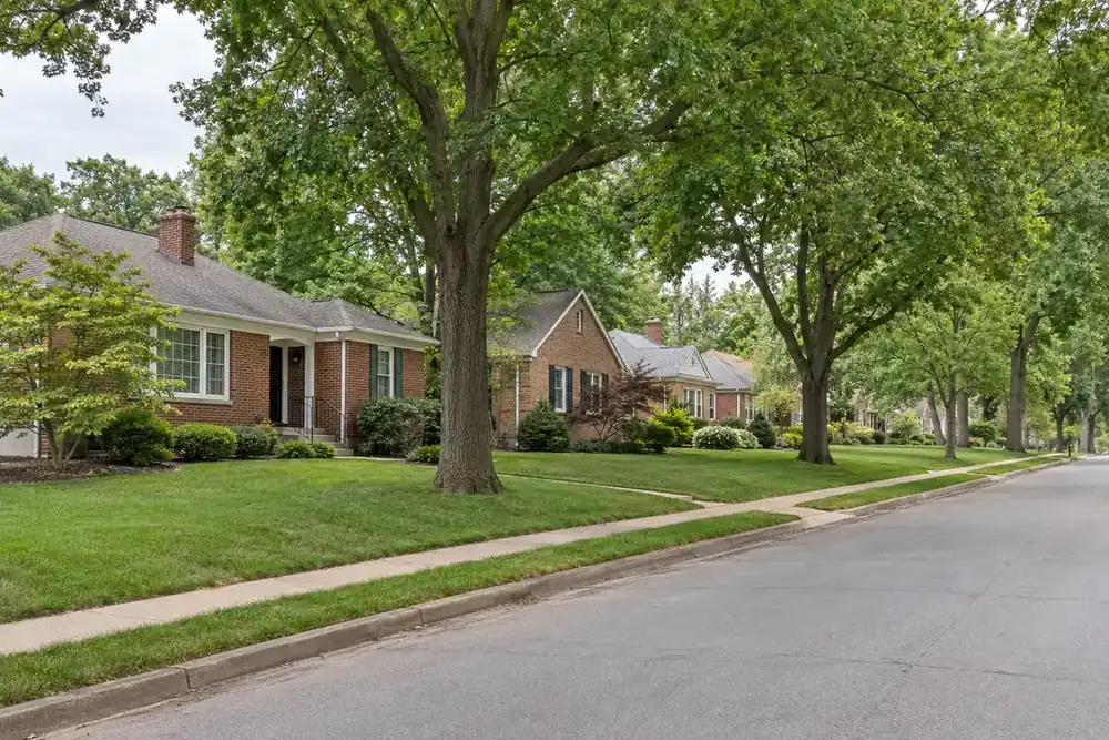 Illustration of a typical residential street in the Kirkwood, MO area